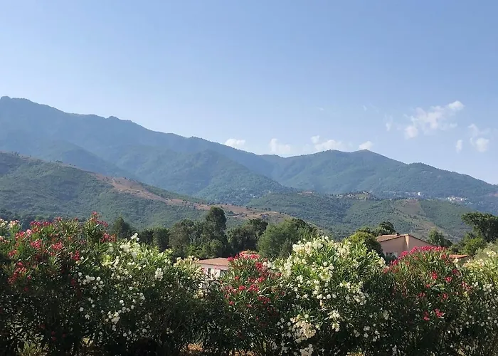 Bas De 80m2 Secteur Ajaccio *